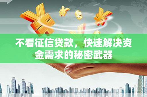 宁夏不看征信贷款，快速解决资金需求的秘密武器