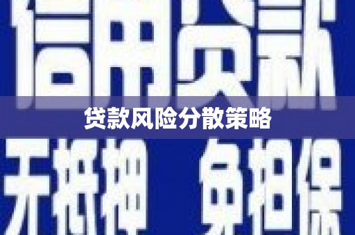 宁夏贷款风险分散策略