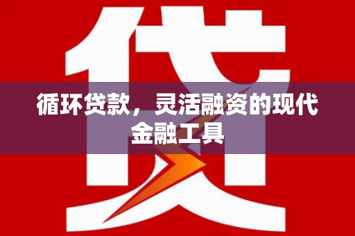 宁夏循环贷款，灵活融资的现代金融工具