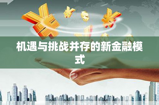 宁夏机遇与挑战并存的新金融模式