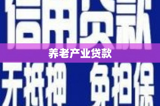 宁夏养老产业贷款