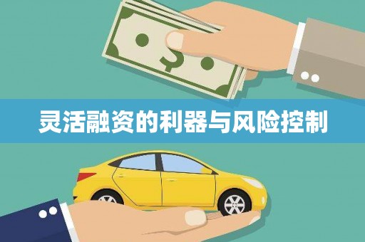 宁夏灵活融资的利器与风险控制