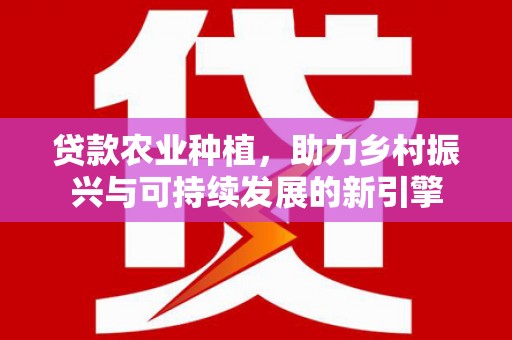 宁夏贷款农业种植，助力乡村振兴与可持续发展的新引擎