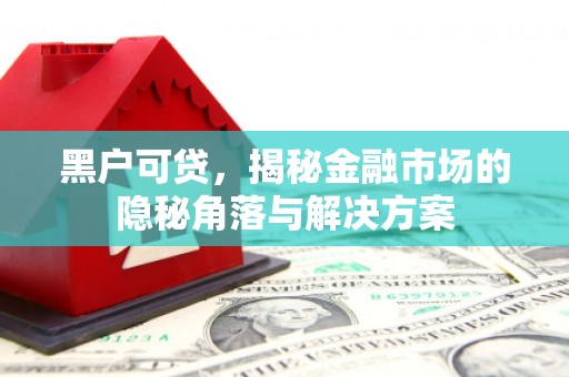宁夏黑户可贷，揭秘金融市场的隐秘角落与解决方案