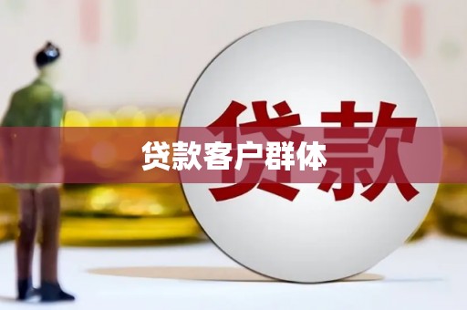 宁夏贷款客户群体