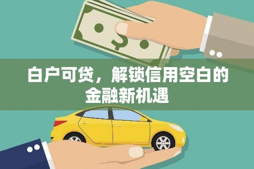 宁夏白户可贷，解锁信用空白的金融新机遇