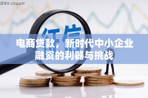宁夏电商贷款，新时代中小企业融资的利器与挑战