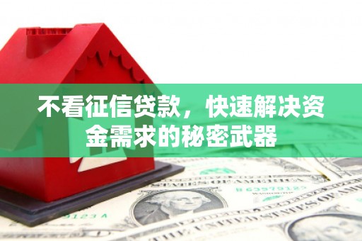 宁夏不看征信贷款，快速解决资金需求的秘密武器