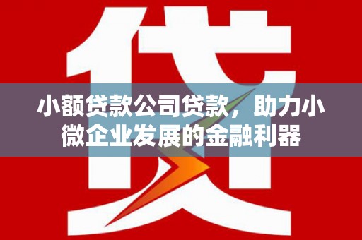 宁夏小额贷款公司贷款，助力小微企业发展的金融利器