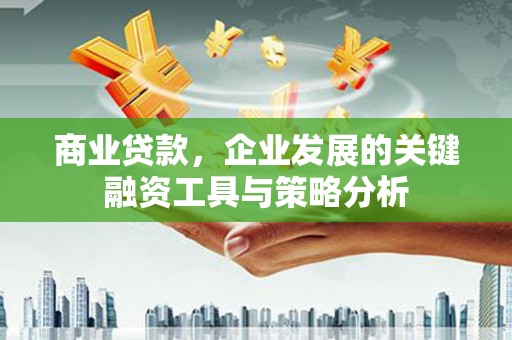 宁夏商业贷款，企业发展的关键融资工具与策略分析