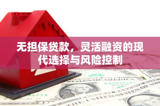 宁夏无担保贷款，灵活融资的现代选择与风险控制