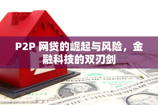 宁夏P2P 网贷的崛起与风险，金融科技的双刃剑
