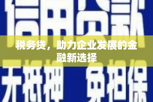 宁夏税务贷，助力企业发展的金融新选择
