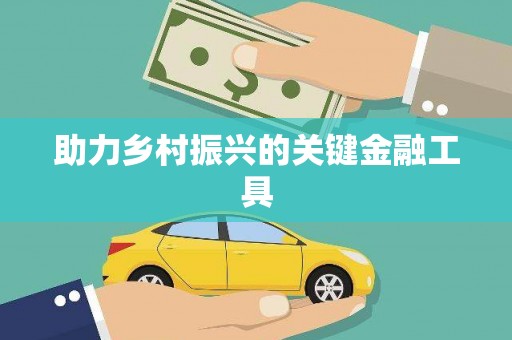 宁夏助力乡村振兴的关键金融工具