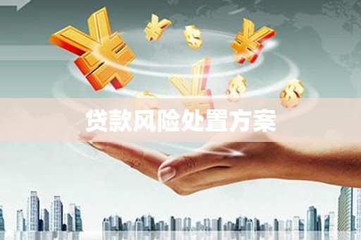 宁夏贷款风险处置方案