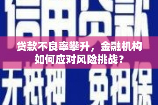 宁夏贷款不良率攀升，金融机构如何应对风险挑战？