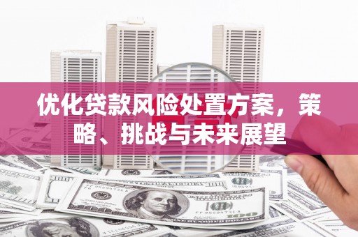 宁夏优化贷款风险处置方案，策略、挑战与未来展望