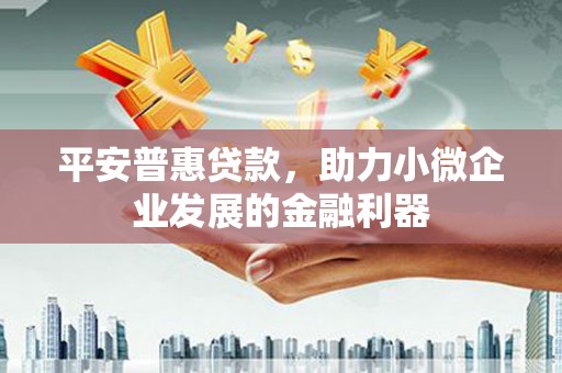 宁夏平安普惠贷款，助力小微企业发展的金融利器