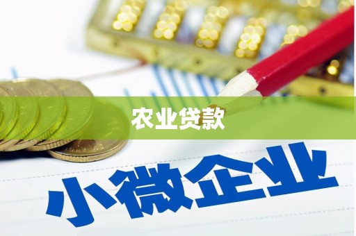 宁夏农业贷款