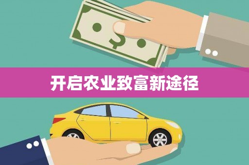 宁夏开启农业致富新途径