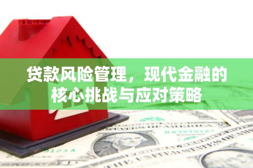 宁夏贷款风险管理，现代金融的核心挑战与应对策略
