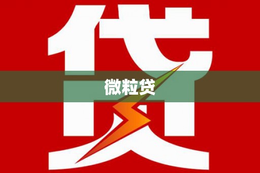宁夏微粒贷