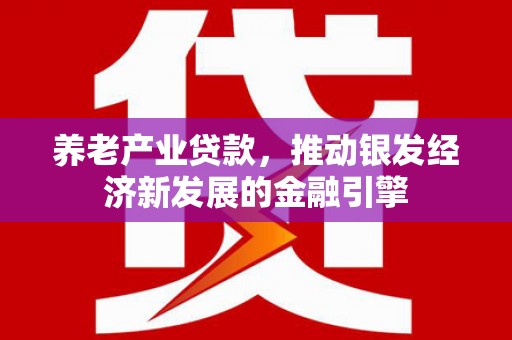 宁夏养老产业贷款，推动银发经济新发展的金融引擎