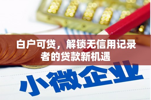 宁夏白户可贷，解锁无信用记录者的贷款新机遇