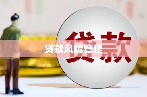 宁夏贷款风险管理