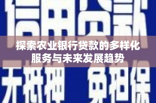 宁夏探索农业银行贷款的多样化服务与未来发展趋势