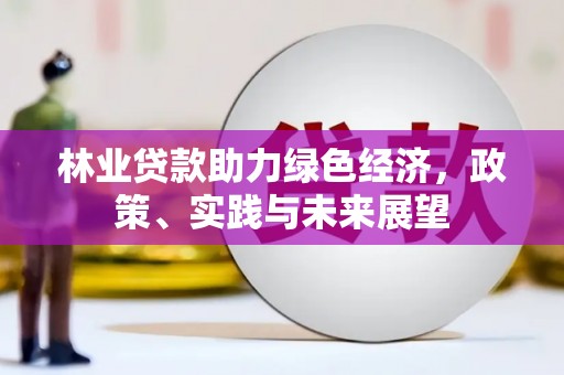 宁夏林业贷款助力绿色经济，政策、实践与未来展望