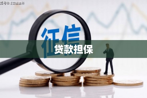 宁夏贷款担保