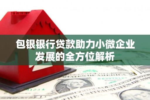 宁夏包银银行贷款助力小微企业发展的全方位解析