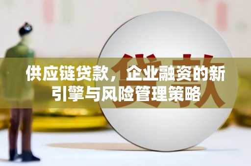 宁夏供应链贷款，企业融资的新引擎与风险管理策略