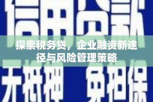 宁夏探索税务贷，企业融资新途径与风险管理策略