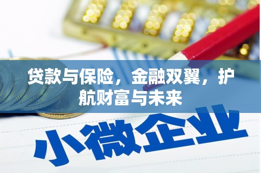 宁夏贷款与保险，金融双翼，护航财富与未来