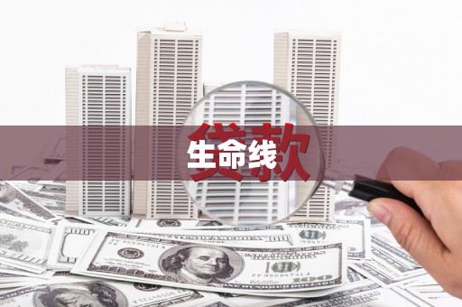 宁夏生命线