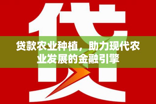 宁夏贷款农业种植，助力现代农业发展的金融引擎