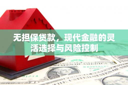 宁夏无担保贷款，现代金融的灵活选择与风险控制