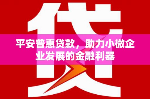 宁夏平安普惠贷款，助力小微企业发展的金融利器