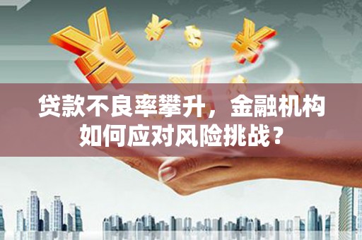 宁夏贷款不良率攀升，金融机构如何应对风险挑战？