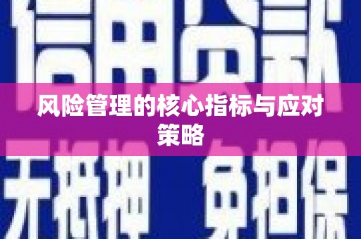 宁夏风险管理的核心指标与应对策略