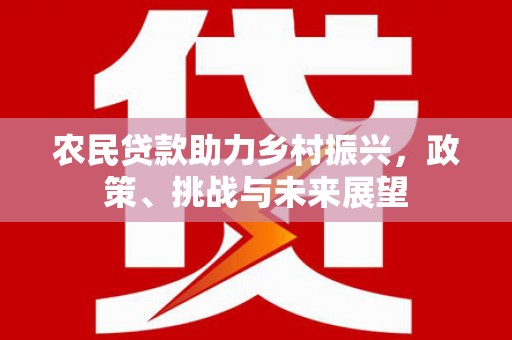 宁夏农民贷款助力乡村振兴，政策、挑战与未来展望