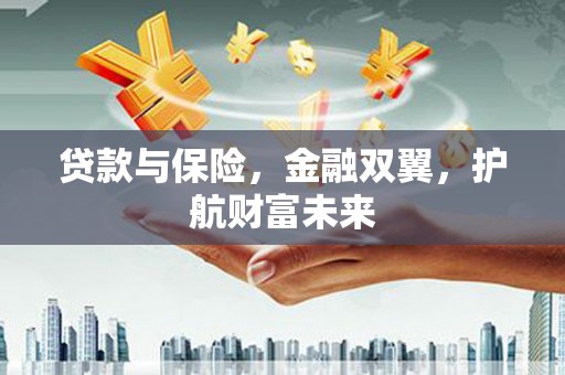 宁夏贷款与保险，金融双翼，护航财富未来
