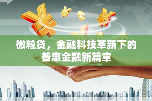 宁夏微粒贷，金融科技革新下的普惠金融新篇章