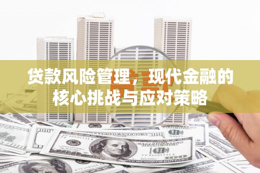 宁夏贷款风险管理，现代金融的核心挑战与应对策略