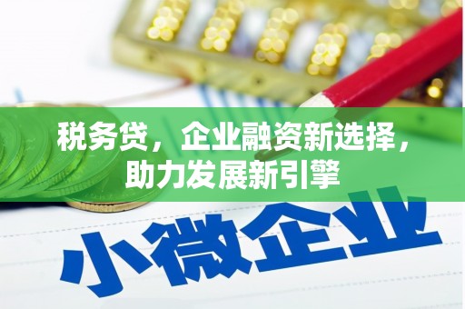 宁夏税务贷，企业融资新选择，助力发展新引擎