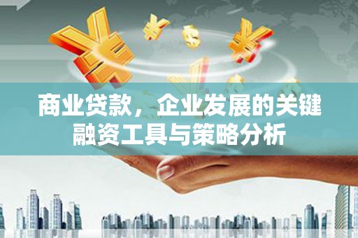宁夏商业贷款，企业发展的关键融资工具与策略分析