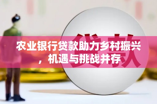 宁夏农业银行贷款助力乡村振兴，机遇与挑战并存