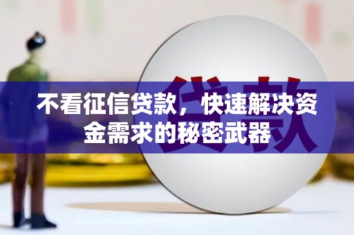 宁夏不看征信贷款，快速解决资金需求的秘密武器